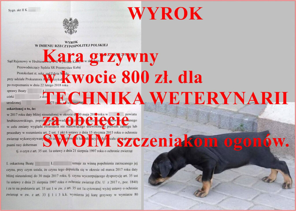 wyrok dla technika