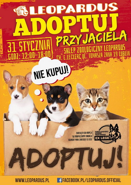 akcja