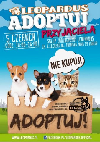 akcja