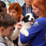 phoca thumb l Zjawiskowe szczenieta 2 - Fundacja na Rzecz Ochrony Praw Zwierząt EX LEGE