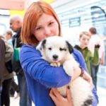 phoca thumb l Zjawiskowe szczenieta 3 - Fundacja na Rzecz Ochrony Praw Zwierząt EX LEGE