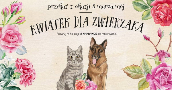 kwiatek dla zwierzaka