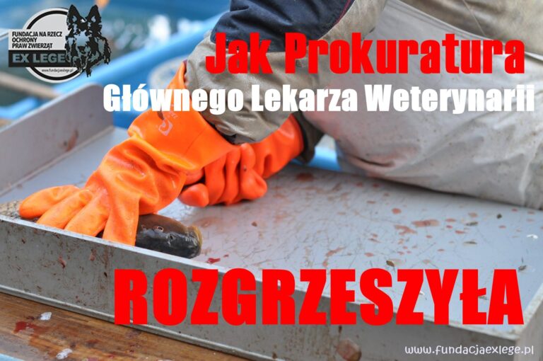 jak-prokuratura
