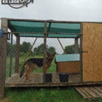 120720 5 - Fundacja na Rzecz Ochrony Praw Zwierząt EX LEGE