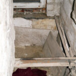 125407609 10225039728123028 590337694216547742 o - Fundacja na Rzecz Ochrony Praw Zwierząt EX LEGE