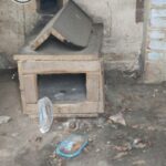 125427570 10225039532838146 5131382014960277717 n - Fundacja na Rzecz Ochrony Praw Zwierząt EX LEGE