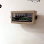 125467446 10225039789644566 3760585691013491367 o - Fundacja na Rzecz Ochrony Praw Zwierząt EX LEGE