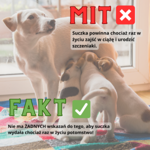 mit fakt suczka - Fundacja na Rzecz Ochrony Praw Zwierząt EX LEGE