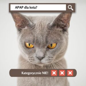 336424053 1319656662225882 2033999330905207320 n - Fundacja na Rzecz Ochrony Praw Zwierząt EX LEGE