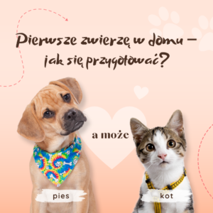 pierwsze zwierze w domu - Fundacja na Rzecz Ochrony Praw Zwierząt EX LEGE