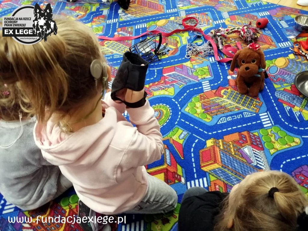 ed1 1024x768 1 - Fundacja na Rzecz Ochrony Praw Zwierząt EX LEGE
