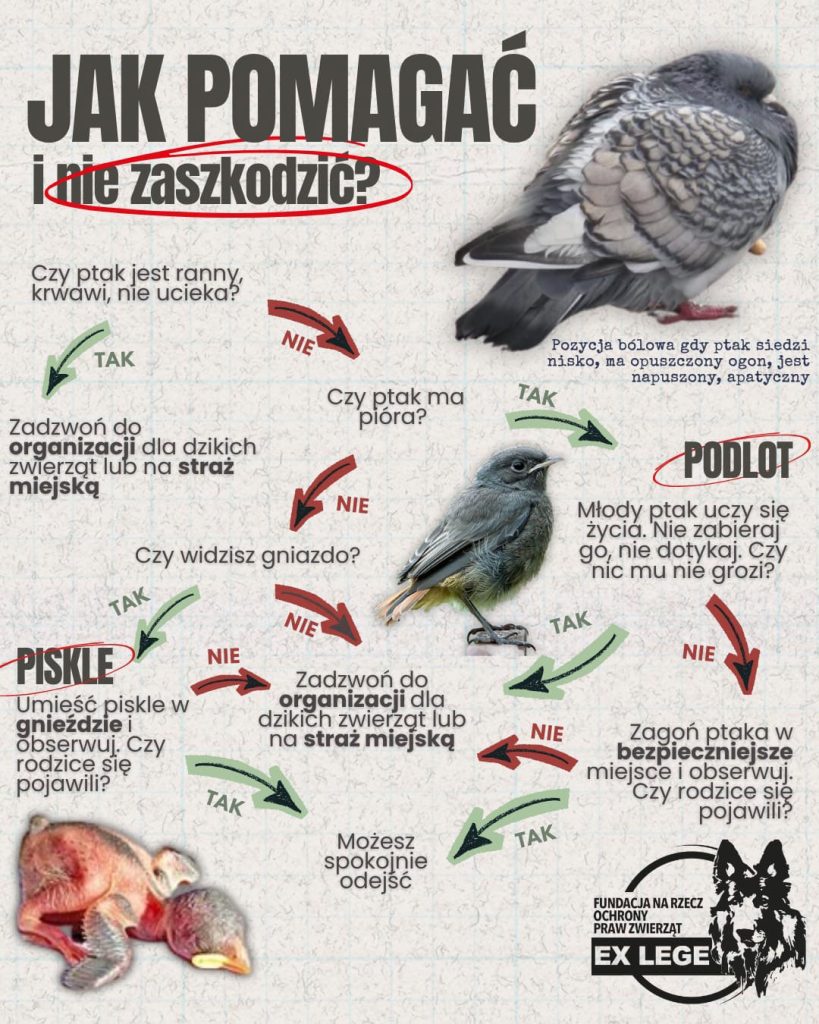 jak-pomagac-i-nie-zaszkodzic