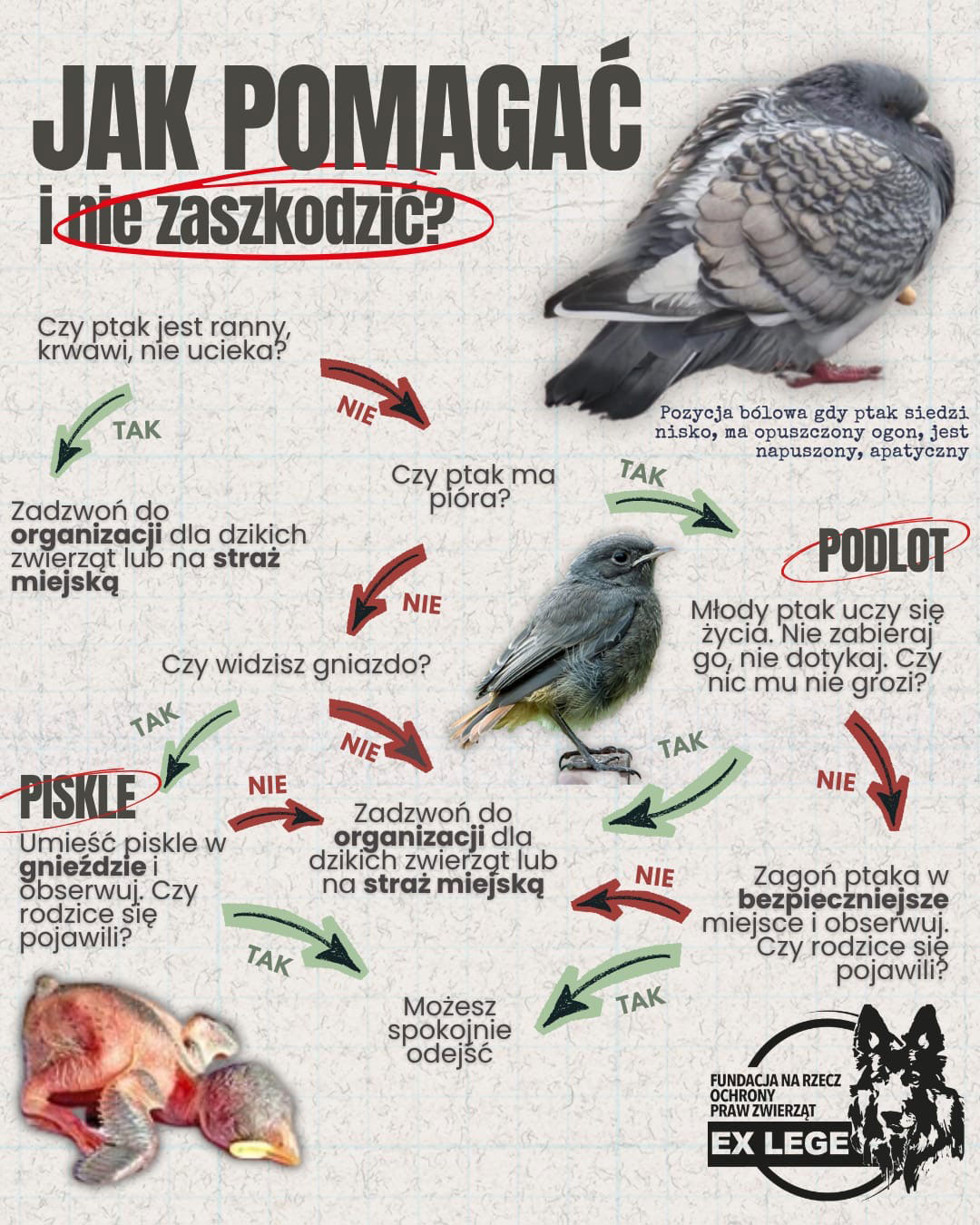 jak-pomagac-i-nie-zaszkodzic