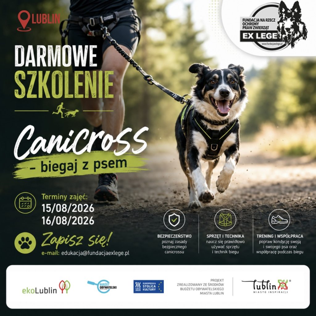 canicross-lublin