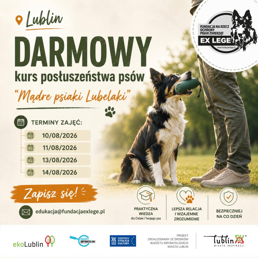 kurs-posluszenstwa-psow-lublin