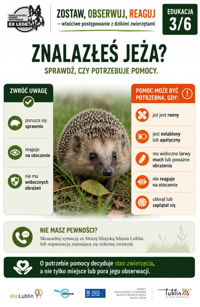 znalazles-jeza-poradnik