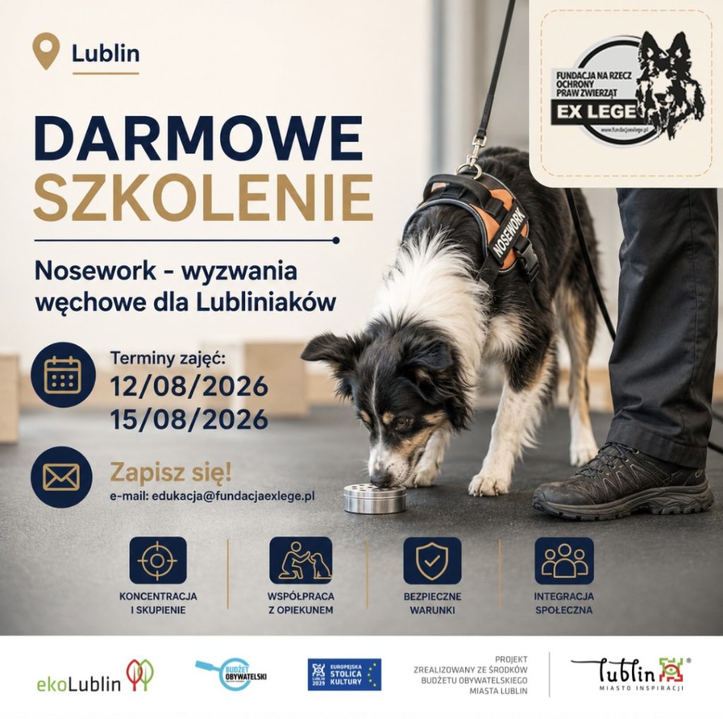 nosework-lublin
