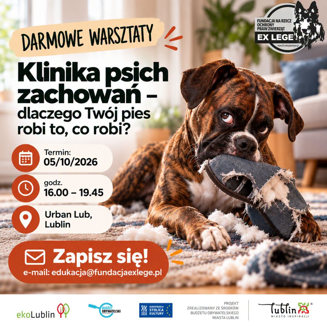 klinika-psich-zachowan