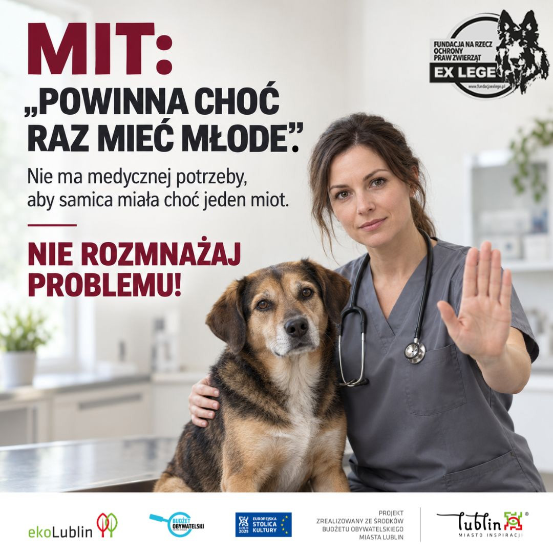 mit