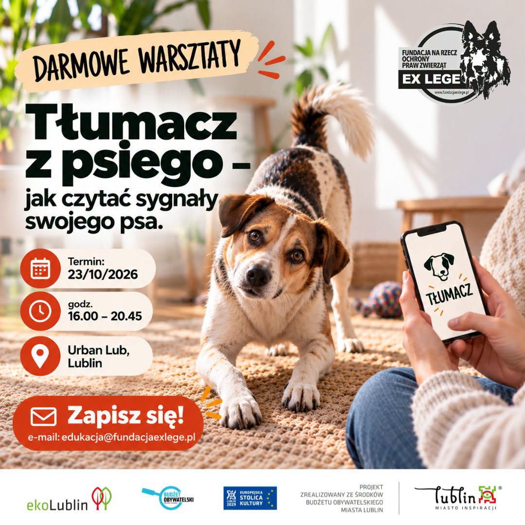 tlumacz-z-psiego